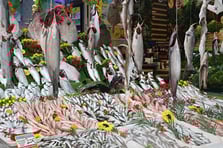 Balık fiyatları | Palamut, İstavrit, Levrek, mezgit, hamsi balık fiyatları ne kadar, kaç TL?