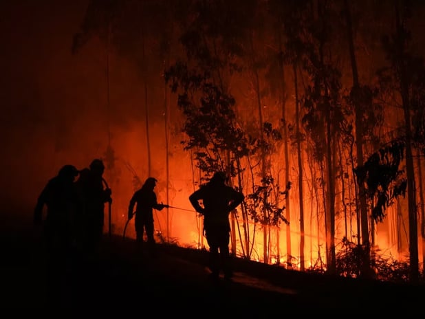 Orman yangınları ile mücadele eden Portekiz alarm durumuna geçti