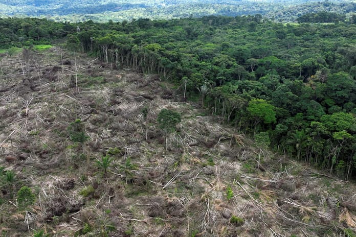 Amazon yağmur ormanları kuruma tehlikesiyle karşı karşıya