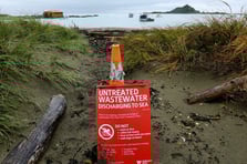 Yeni Zelanda’da arıtma tesisinin çökmesiyle milyonlarca litre atık okyanusa akıyor