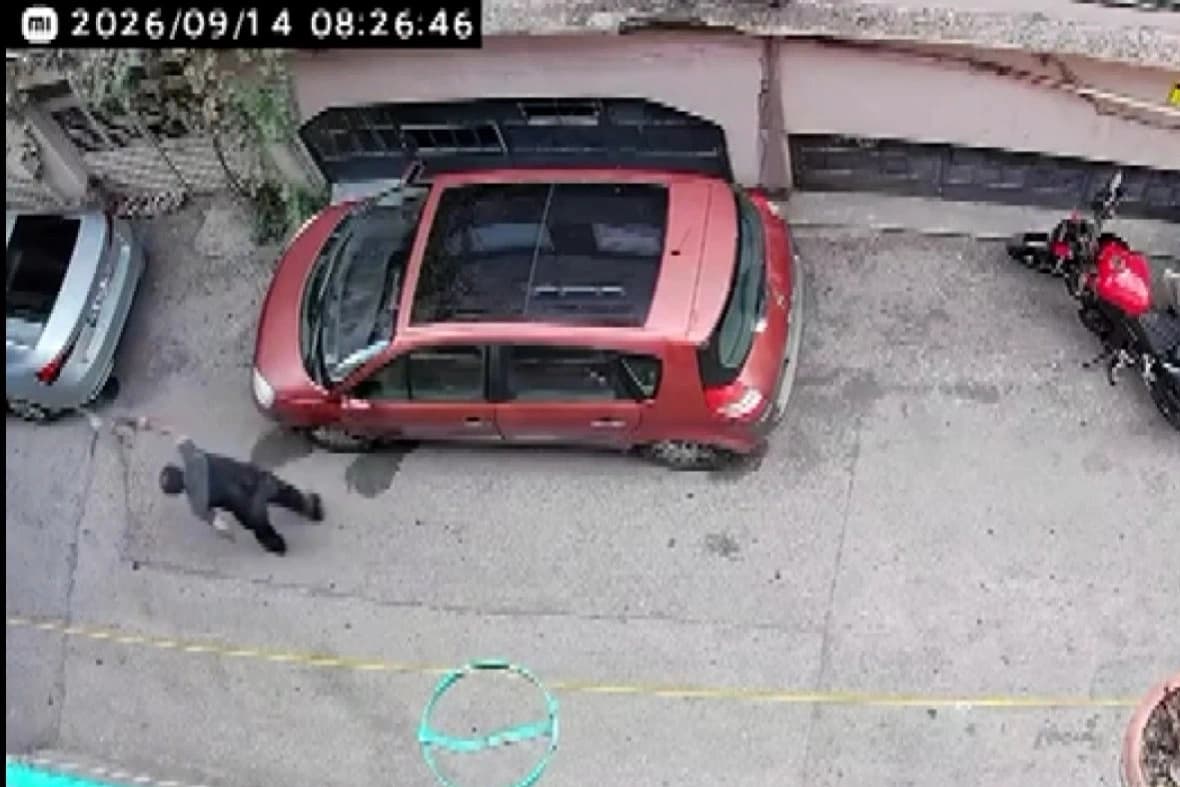 Kediye şiddet kamerada
