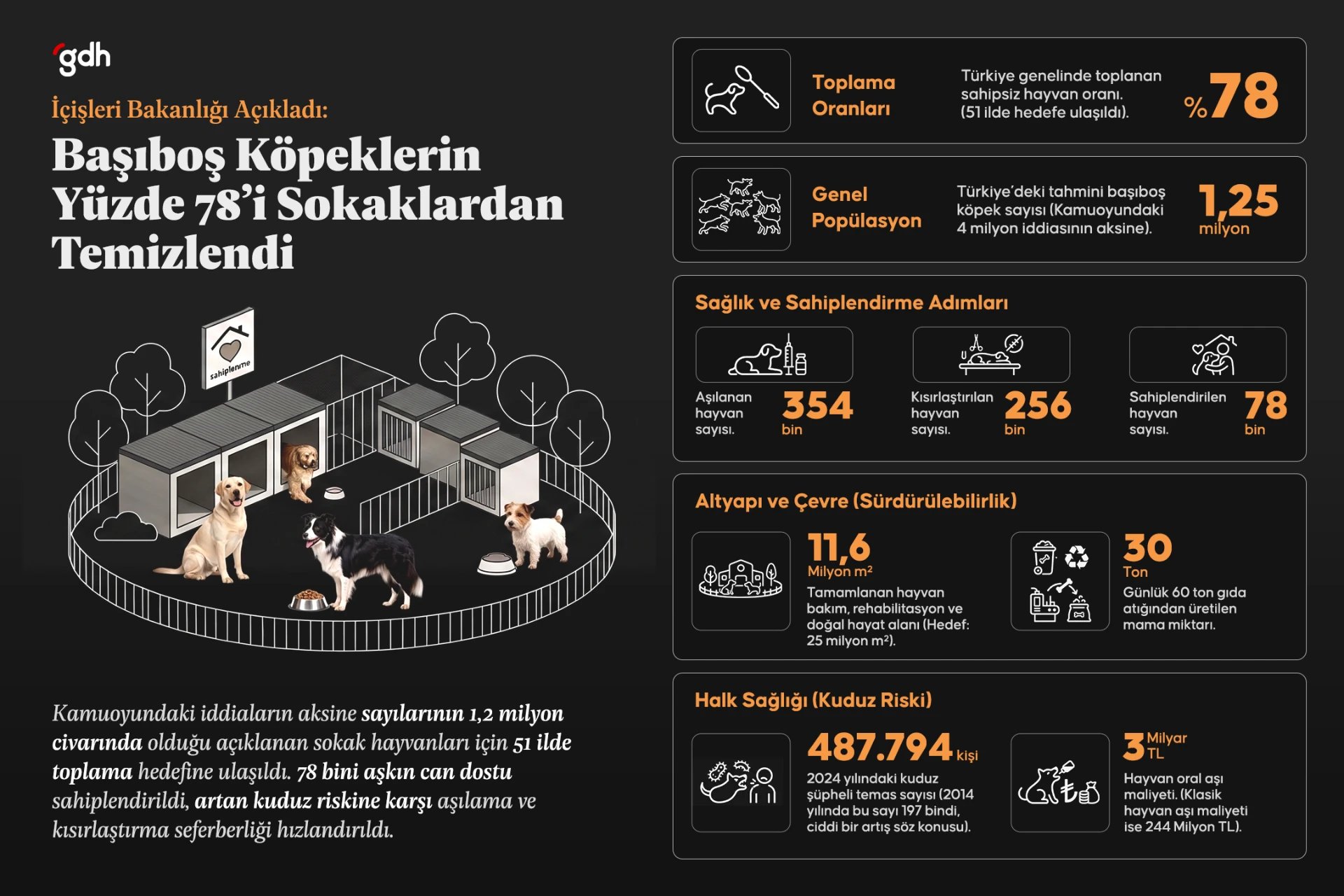  Sokaklar güvenliğe kavuşuyor: Başıboş köpeklerin yüzde 78'i sokaklardan temizlendi!