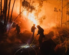 Avrupa'da orman yangınlarında 1 milyon hektar alan kül oldu