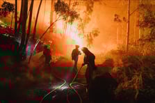 Avrupa'da orman yangınlarında 1 milyon hektar alan kül oldu