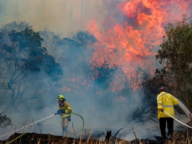 Kudüs'te büyük çaplı orman yangını çıktı