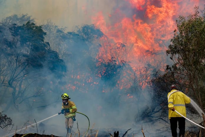Kudüs'te büyük çaplı orman yangını çıktı