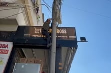 Elektrik akımına kapıldıktan 7 gün sonra hayatını kaybetti