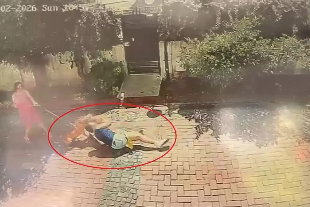 Samsun'da ağızlıksız pitbull dehşeti! 