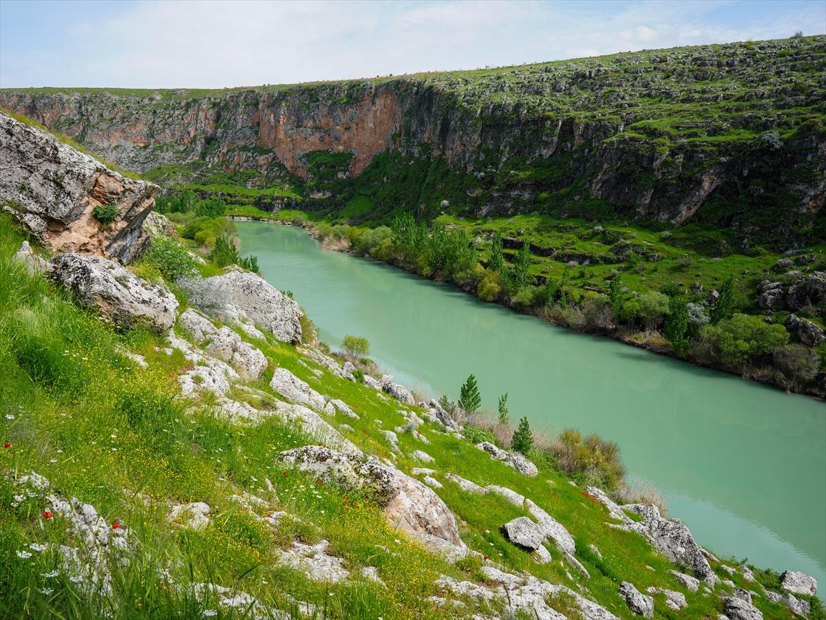 Fırat’ın kıyısında renk cümbüşü: Kızılin Kanyonu baharı karşıladı