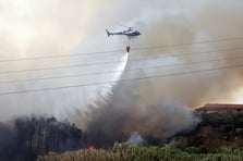 İtalya'nın Sicilya Adası'ndaki orman yangınları yayılıyor