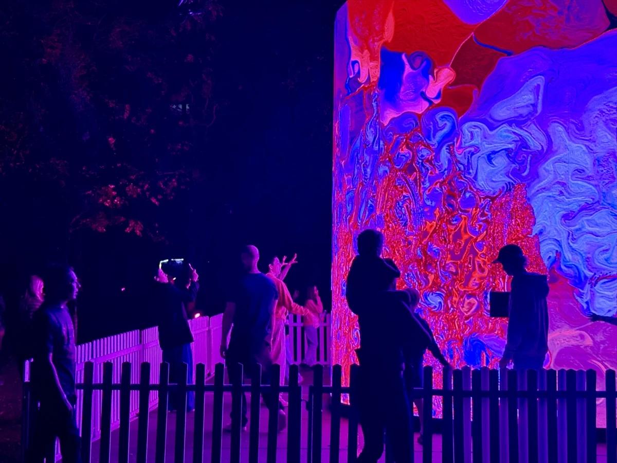 Cape Town'daki ışık festivali renkli görüntülere sahne oldu