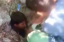 Kuyuda mahsur kalan kedinin yardımına çocuklar yetişti