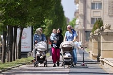 Maddi sıkıntılar Çeçen aileleri sahte boşanmalara sürüklüyor