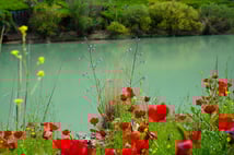 Fırat’ın kıyısında renk cümbüşü: Kızılin Kanyonu baharı karşıladı