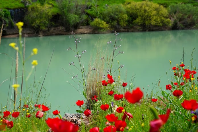 Fırat’ın kıyısında renk cümbüşü