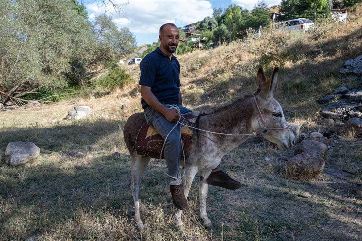 Yediemin otoparkına çekilmişti: Sahibi Kadife eşeğe kavuşmanın sevincini yaşıyor