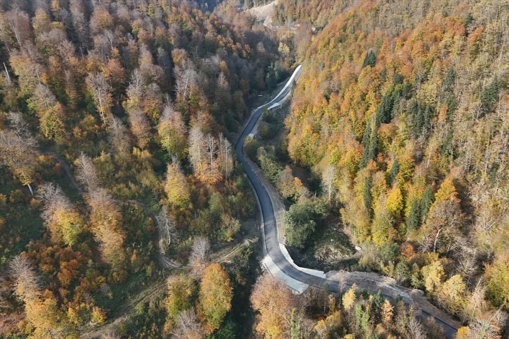 Türkeli'nde ormanlar sonbahar ile renk şölenine dönüştü
