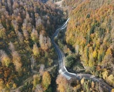 Türkeli'nde ormanlar sonbahar ile renk şölenine dönüştü
