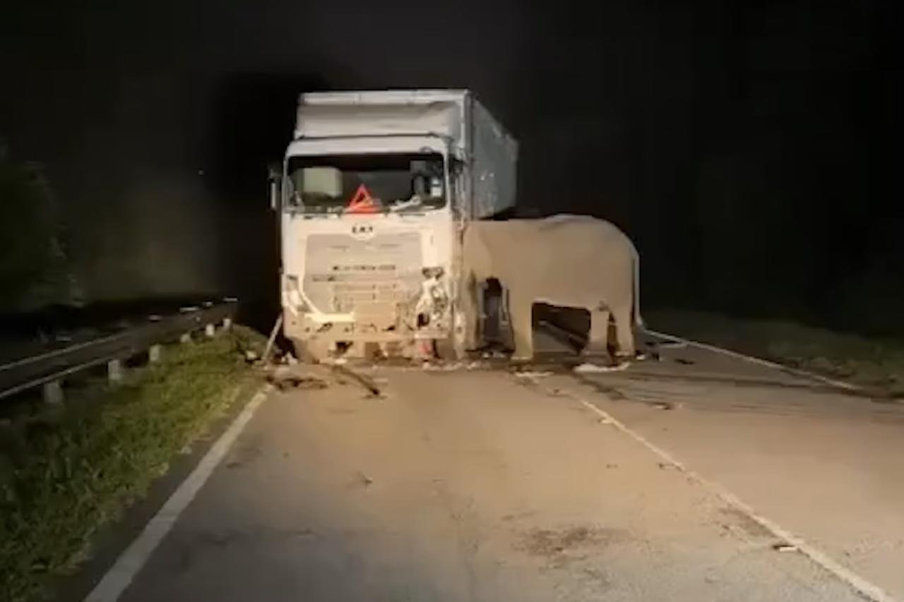 Ölen yavrusunun başında saatlerce bekledi