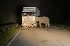 Ölen yavrusunun başında saatlerce bekledi