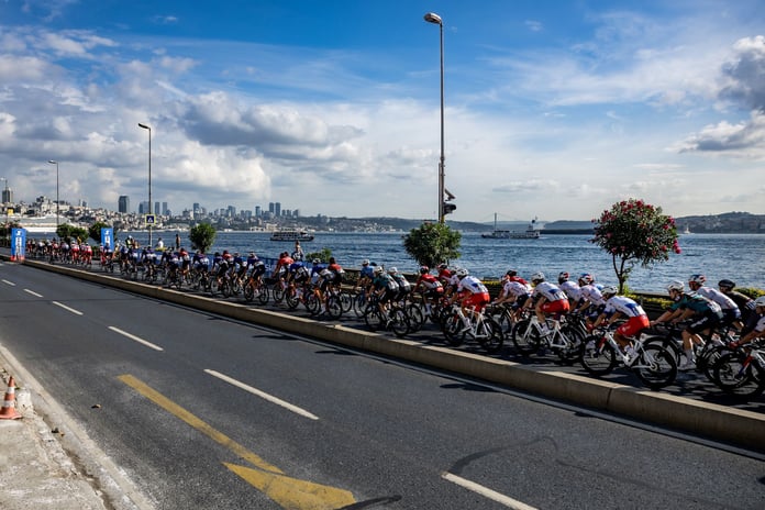 Organizasyon değerlendirmesi