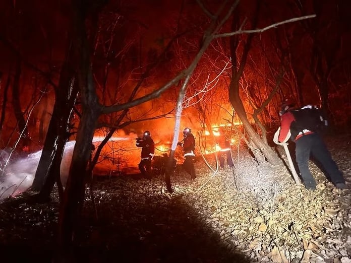 Güney Kore'de orman yangınıyla mücadele sürüyor