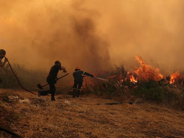 Yunanistan'ın orman yangınlarıyla mücadelesi sürüyor