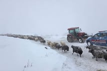 Artvin'de çığ felaketi: Kayıp çobanı arama çalışmalarına hava engeli