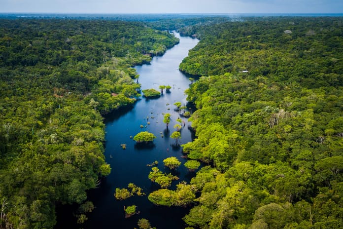 Almanya'dan Brezilya'nın yağmur ormanı fonuna 1 Milyar Euro finansman taahhüdü