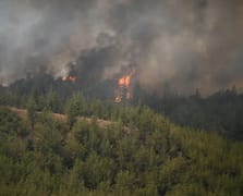 Adana'da yangın söndürme uçağı düştü: 2 pilot yaralandı