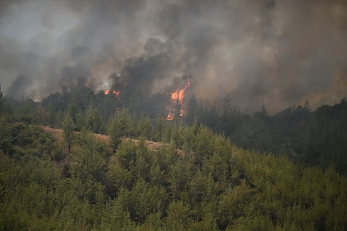 Adana'da yangın söndürme uçağı düştü: 2 pilot yaralandı