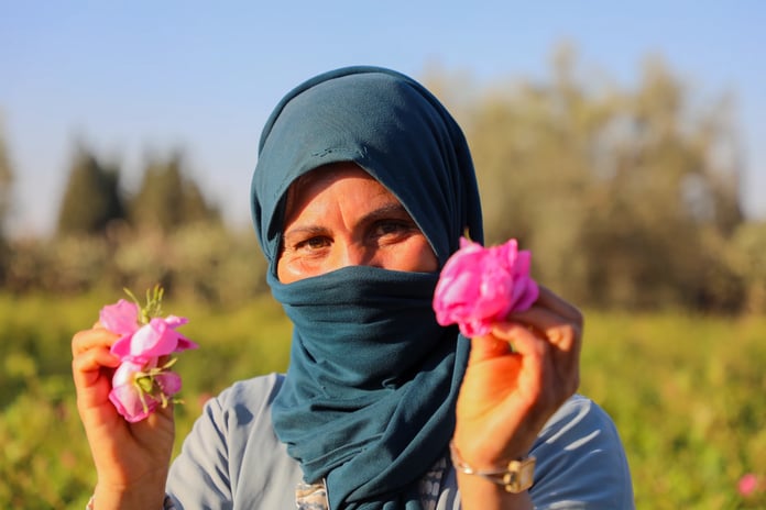 Dededen toruna miras kalan üretim tutkusu