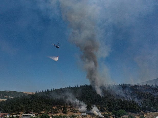Bursa'da tarım alanında yangın çıktı