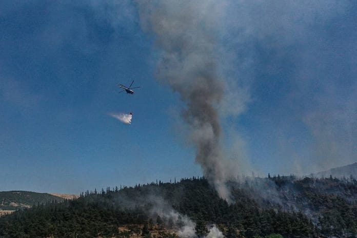 Bursa'da tarım alanında yangın çıktı