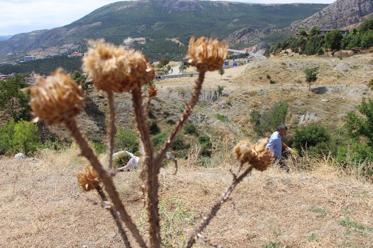Nazar değmesin diye çuvallarla sipariş ediyorlar: Buketi 150 TL