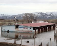 Sivas'ta karların erimesiyle Kangal köpeği çiftliğini su bastı