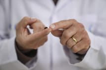 İstanbul’da artan kene vakaları paniğe yol açtı: Uzmanlardan “zararsız tür” açıklaması