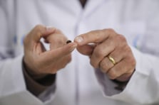 İstanbul’da artan kene vakaları paniğe yol açtı: Uzmanlardan “zararsız tür” açıklaması