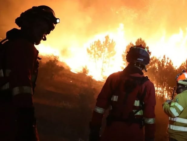 İspanya ve Portekiz orman yangınlarıyla boğuşuyor