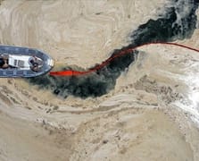 Marmara Havzası'nda müsilaj mücadelesinde 55 tesis kapatıldı