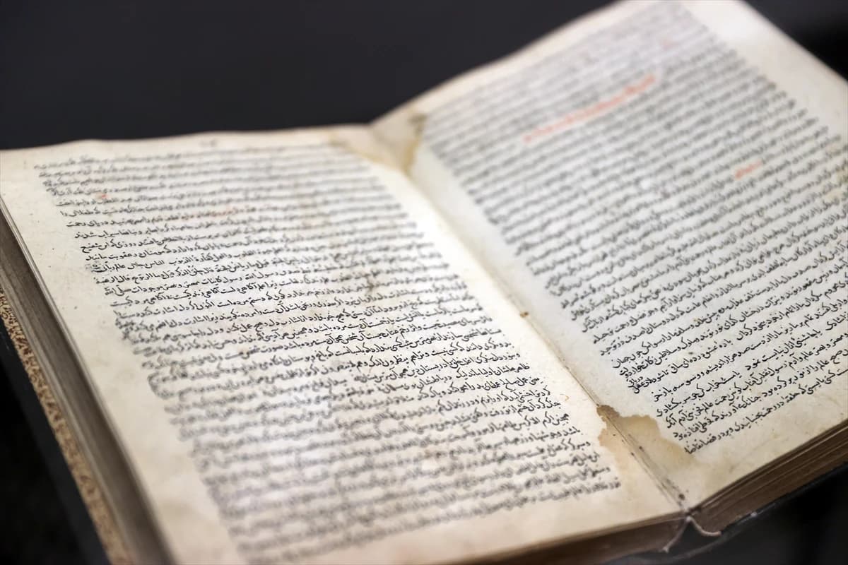 Mikrobik tehditlere karşı asitsiz koruma