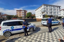 Dana yaşlı kadını yaraladı