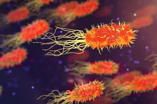 Ağrı’da et yiyen bakteri alarmı! Dizindeki küçücük yarayı önemsemedi, ölümün eşiğine geldi