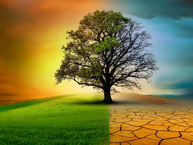 İklim Kanunu gecikirse ekonomi alarm verecek