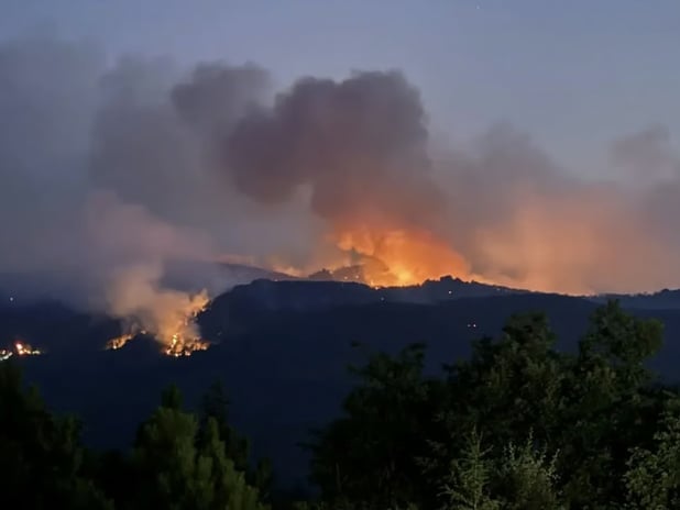 Orman yangınında şehit olanların mesai arkadaşları konuştu