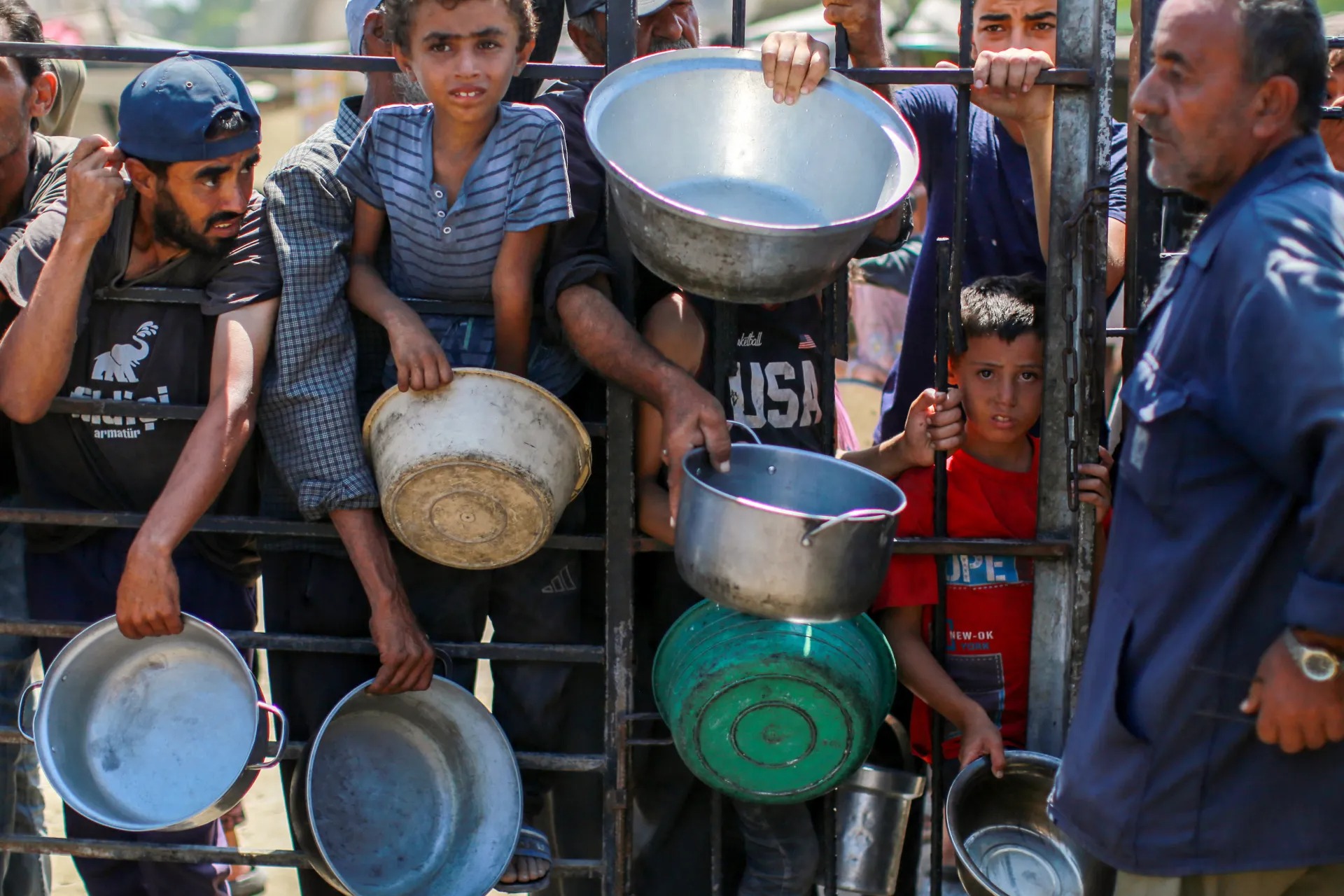 Gaza Famine Kills 185 in August, 13 More in 24 Hours