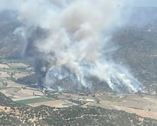 Zeytinlik alanda çıkan yangına havadan ve karadan müdahale ediliyor