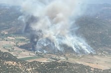 Zeytinlik alanda çıkan yangına havadan ve karadan müdahale ediliyor