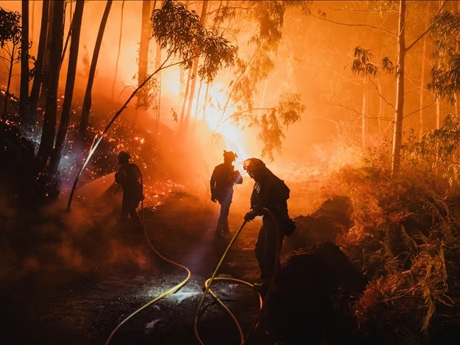 Avrupa'da orman yangınlarında 1 milyon hektar alan kül oldu