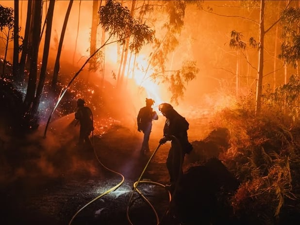 Avrupa'da orman yangınlarında 1 milyon hektar alan kül oldu
